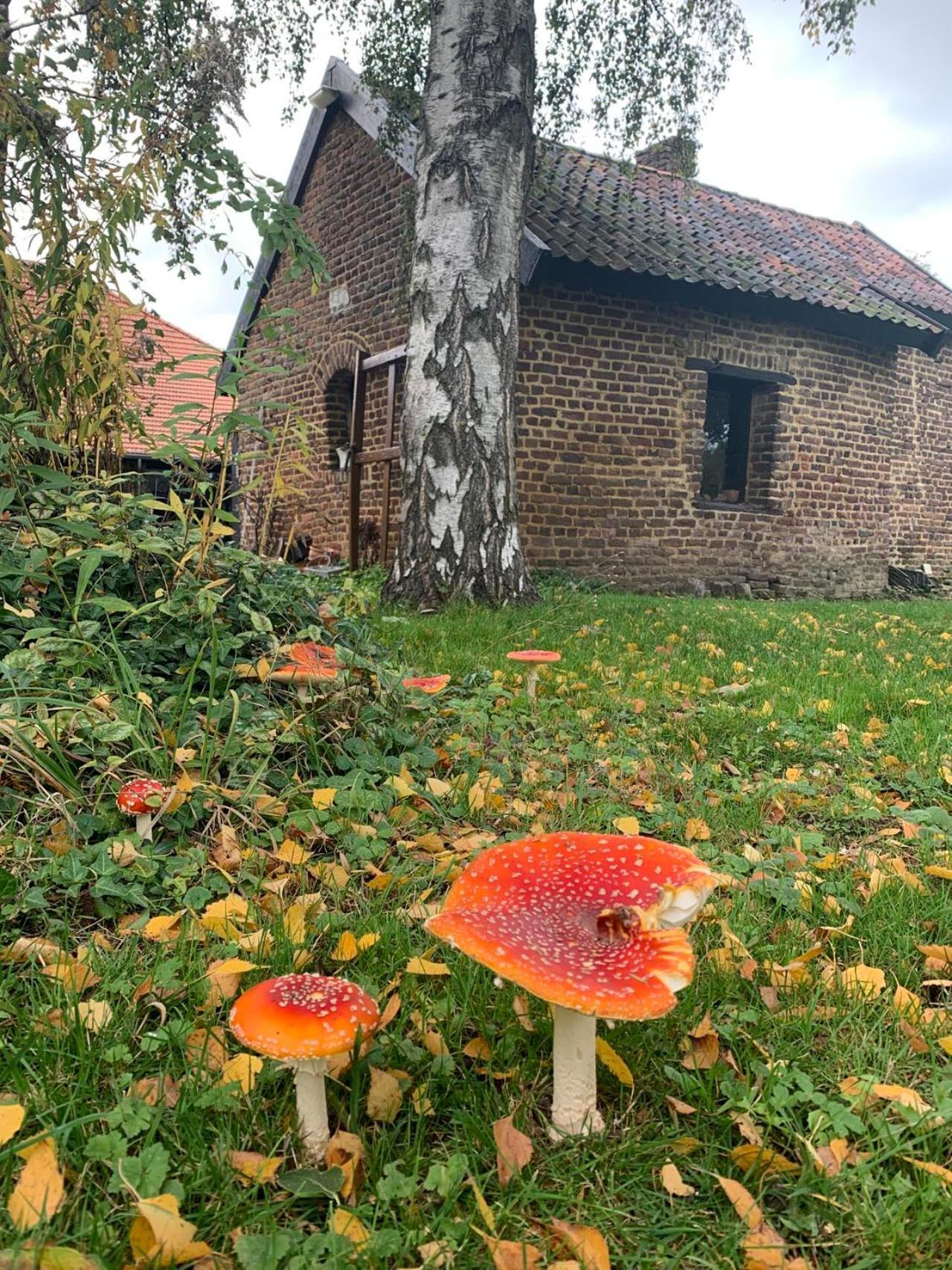 B&B en Vakantiewoningen 't Wienhoes Wittem Buitenkant foto
